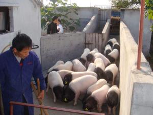 恋恋不舍