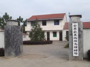 两头乌天宫