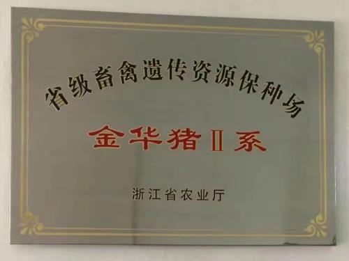 荣誉资质